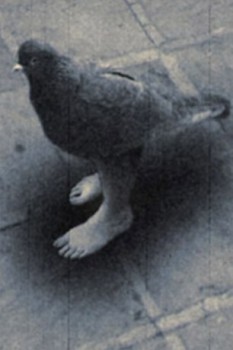 poster Contamination