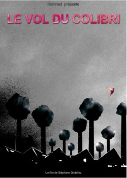 poster Le vol du colibri
