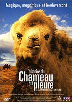 poster L'histoire du chameau qui pleure